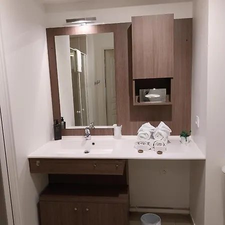 多米提斯勒蓬德吕米埃兄弟酒店 * 里昂